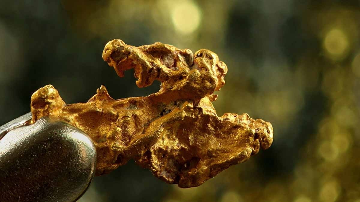 Yılda 2 milyar dolar ülkeden kaçıyor, 88 altın madenin kaymağını ABD ve Kanada yiyor