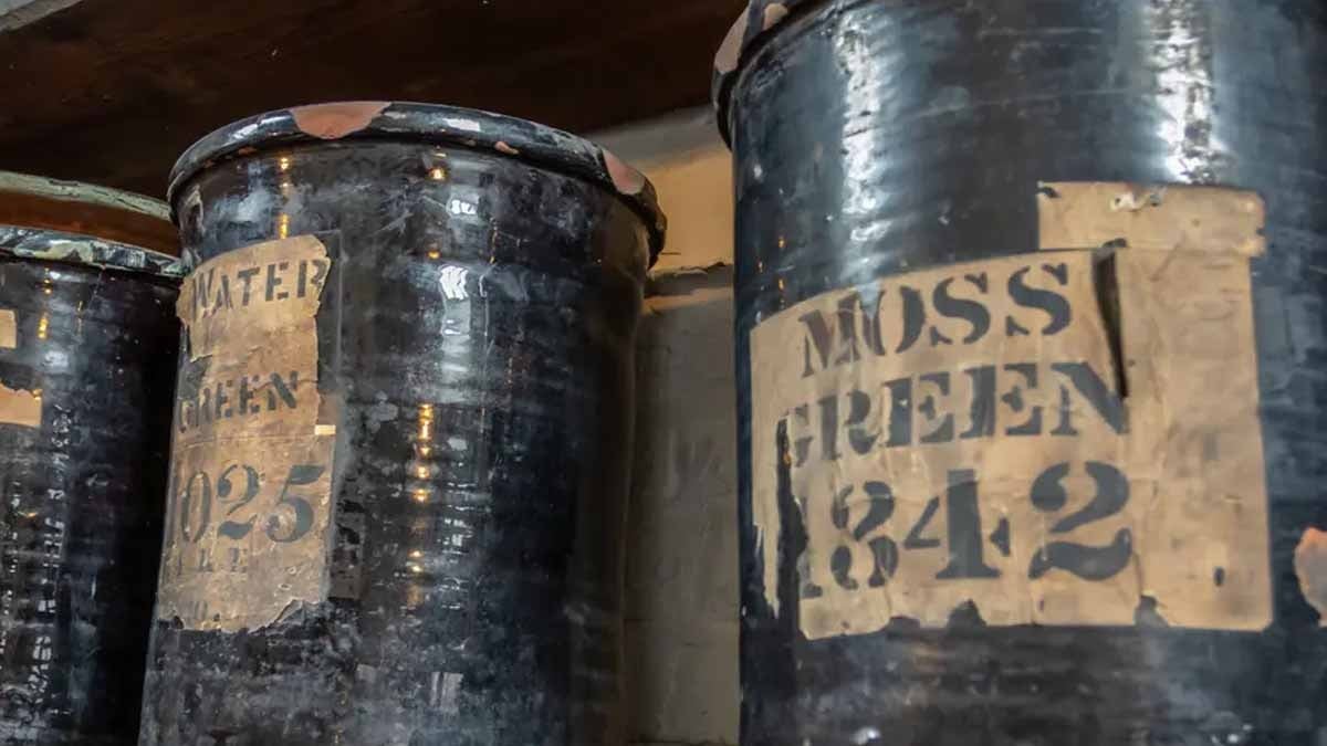 40 yıllık konserve kutusundan çıkan solucanları görünce bayram ettiler