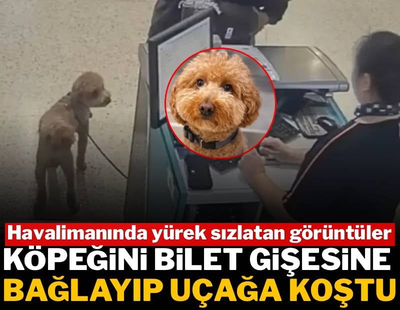 Uçağa alınmayan köpeğini bilet gişesine bağlayıp uçağa doğru koştu: Havalimanında yürek sızlatan görüntüler