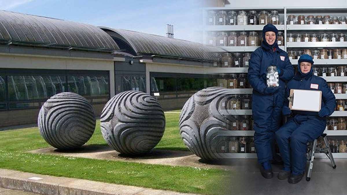 İçinde ne altın ne dolar var! Dünyanın en değerli bankası -20 derecede saklanıyor