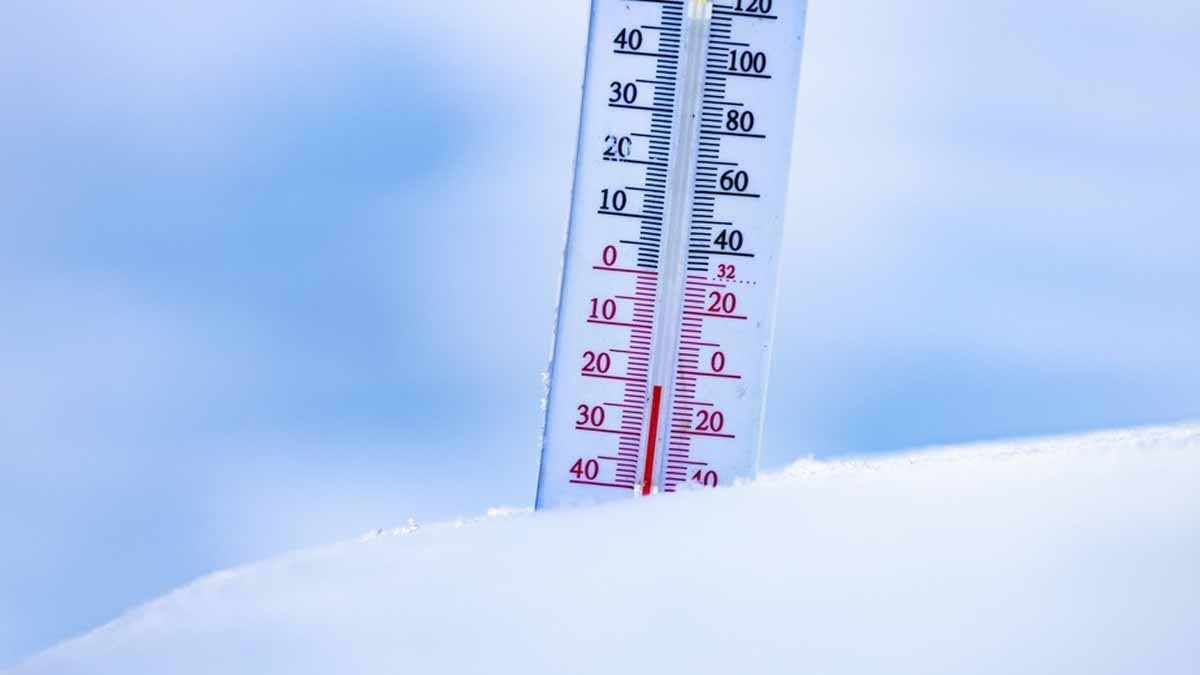 Meteoroloji bile bu kadarını beklemiyordu! Kar yağarken bir anda bahar geldi, kışın ortasında 17,2 derece