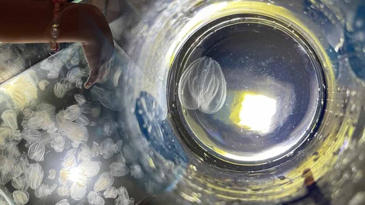 Durdurulamıyor, her şeyi yutuyor! Koca ekonomi çökmek üzere: Sakın hafife almayın!