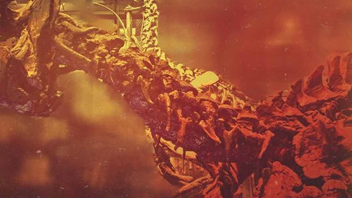 125 milyon yıllık iğneli bebek yaratık bulundu! 