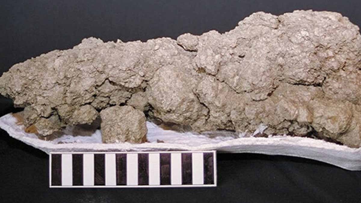 Buna basan milyoner oldu! Ne elmas ne gümüş, tonu servet değerinde