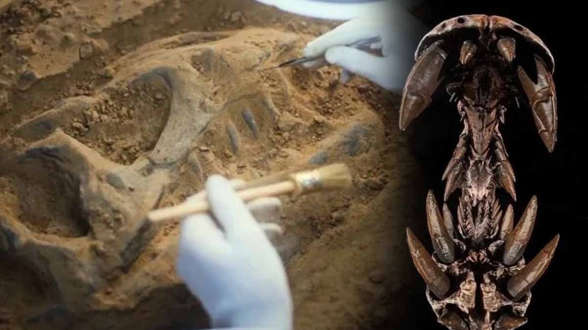 Bilim insanları 95 milyon yıllık 'pala boynuzlu' dev buldu, ateş püskürtmüyordu ama... 