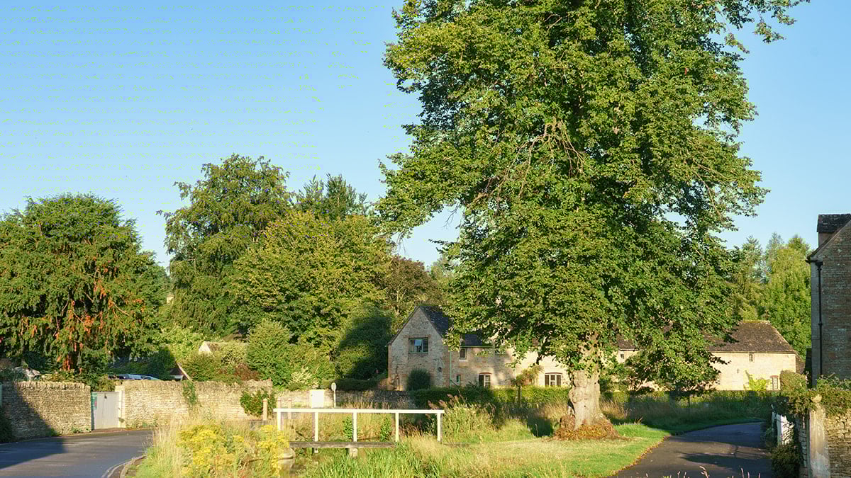 Bu köyde 120 yıldır bir bina bile inşa edilmiyor 