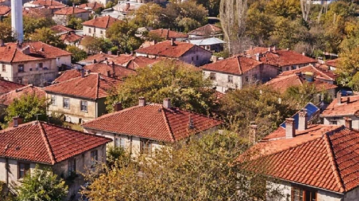 Türkiye'nin en kalabalık köyü belli oldu: Birçok ilçe nüfusunu geçti