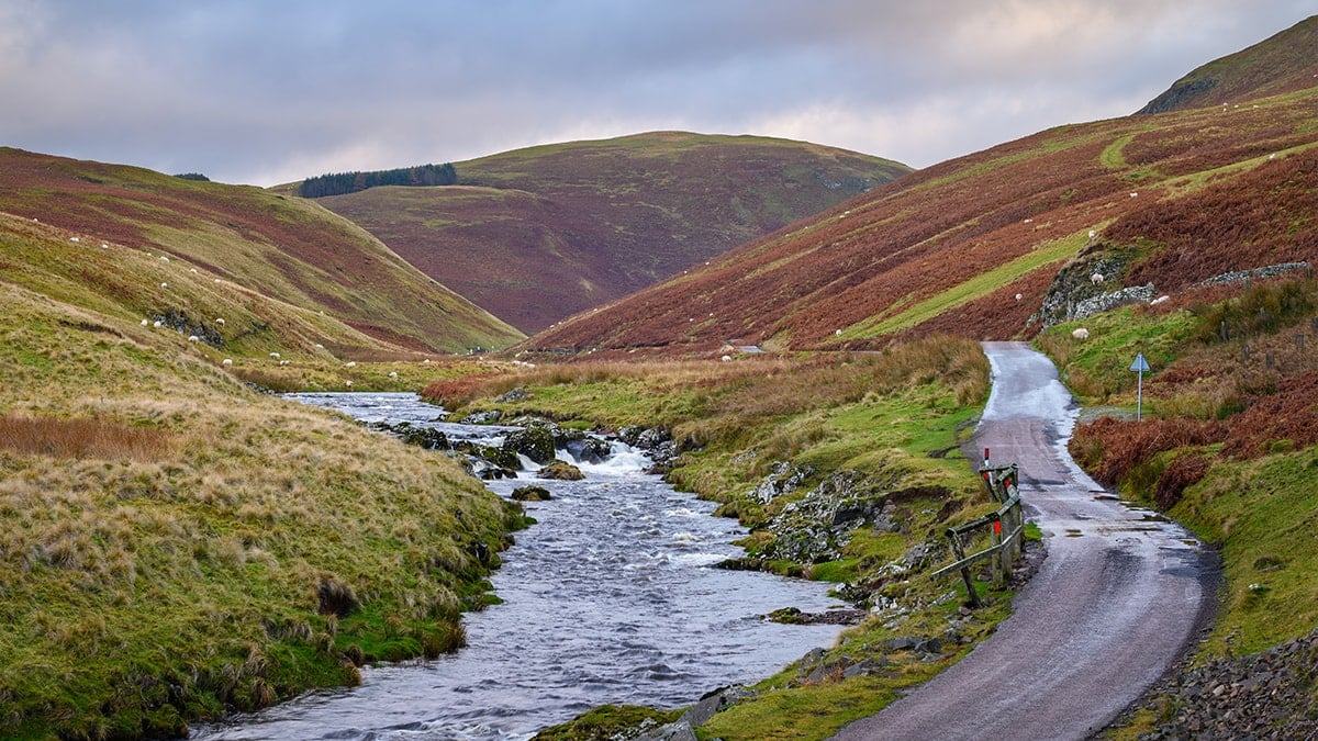Günde sadece 12 araç girebiliyor