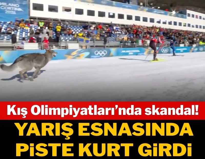 Kış Olimpiyatları'nda skandal! Yarış sırasında piste kurt girdi