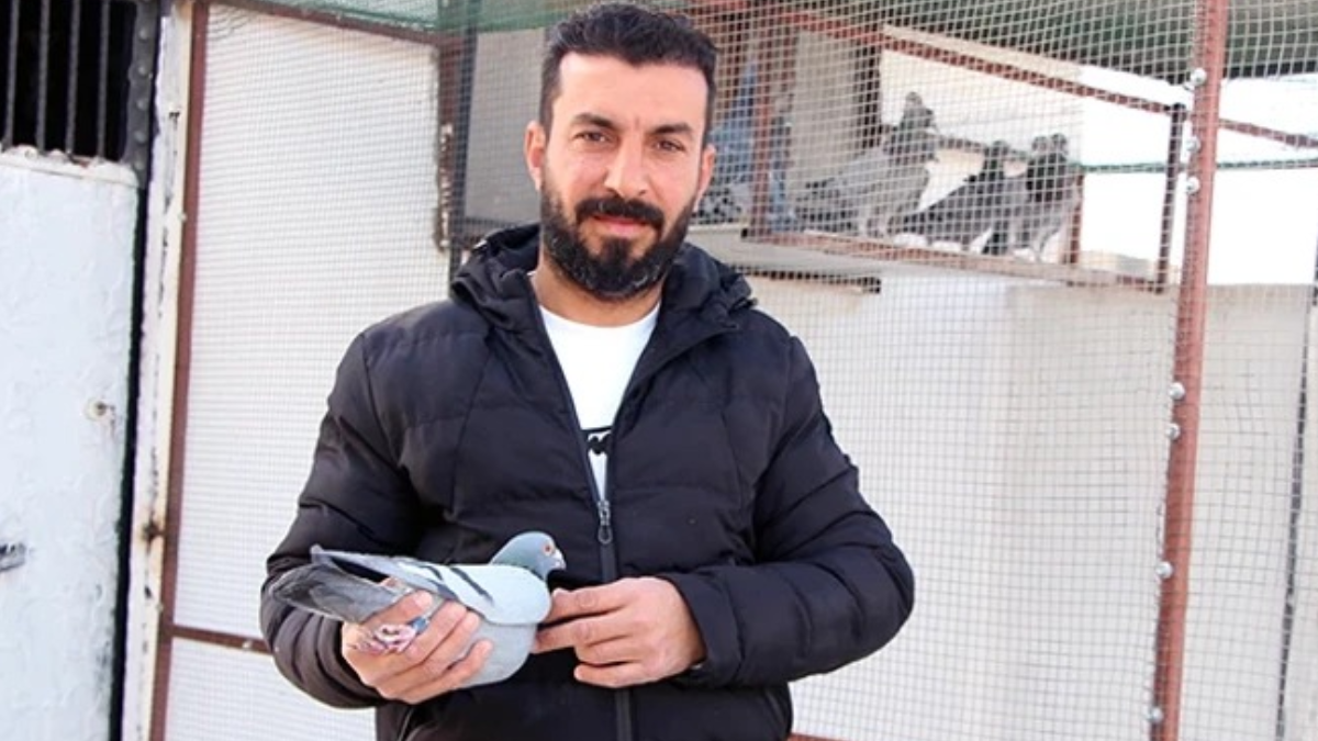 Manevi değeri yüksek bu kuşu yakalayıp getirene 75 bin TL verilecek