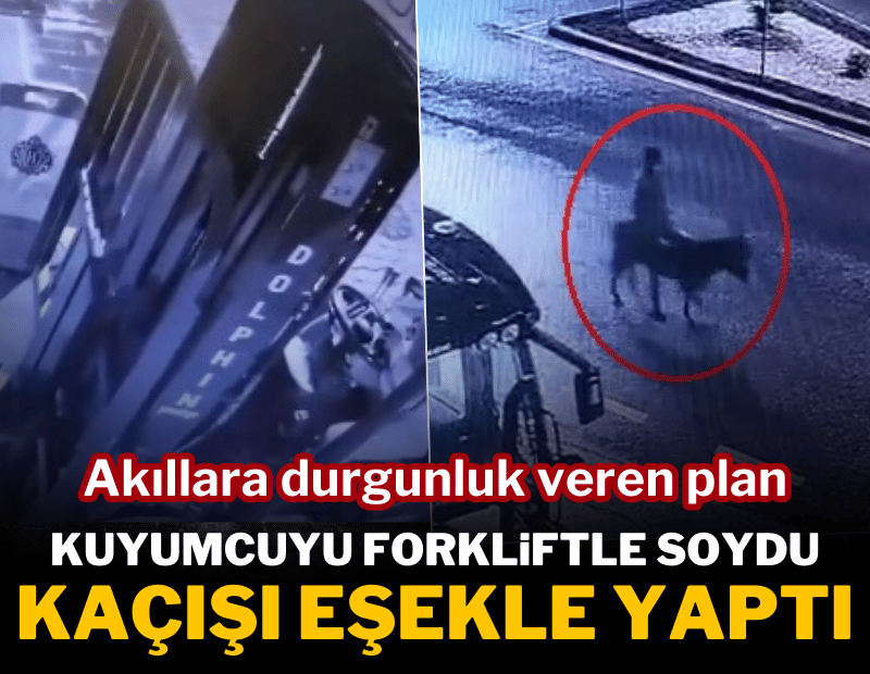 Forkliftle girdi, eşekle kaçtı! Kuyumcu soygununda akıllara durgunluk veren plan