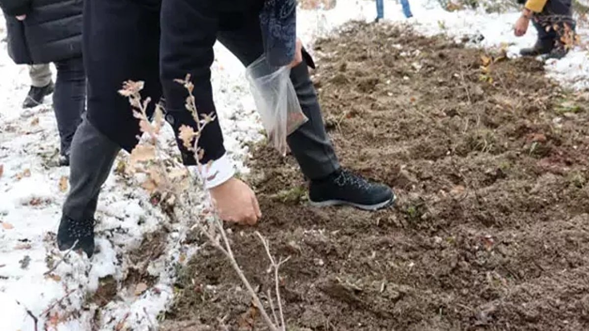 Milli servet değeri taşıyor: Avrupa peşine düştü 