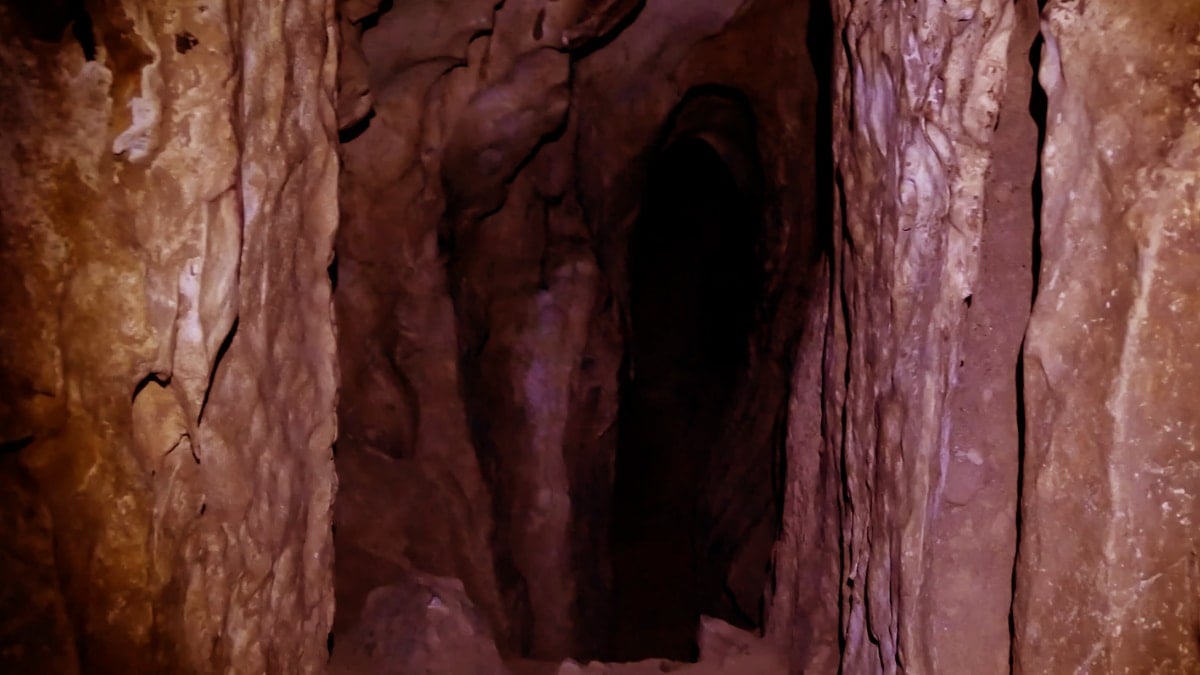 Suudi Arabistan'daki mağarada bulunan mumyalanmış yaratıklar inceleniyor