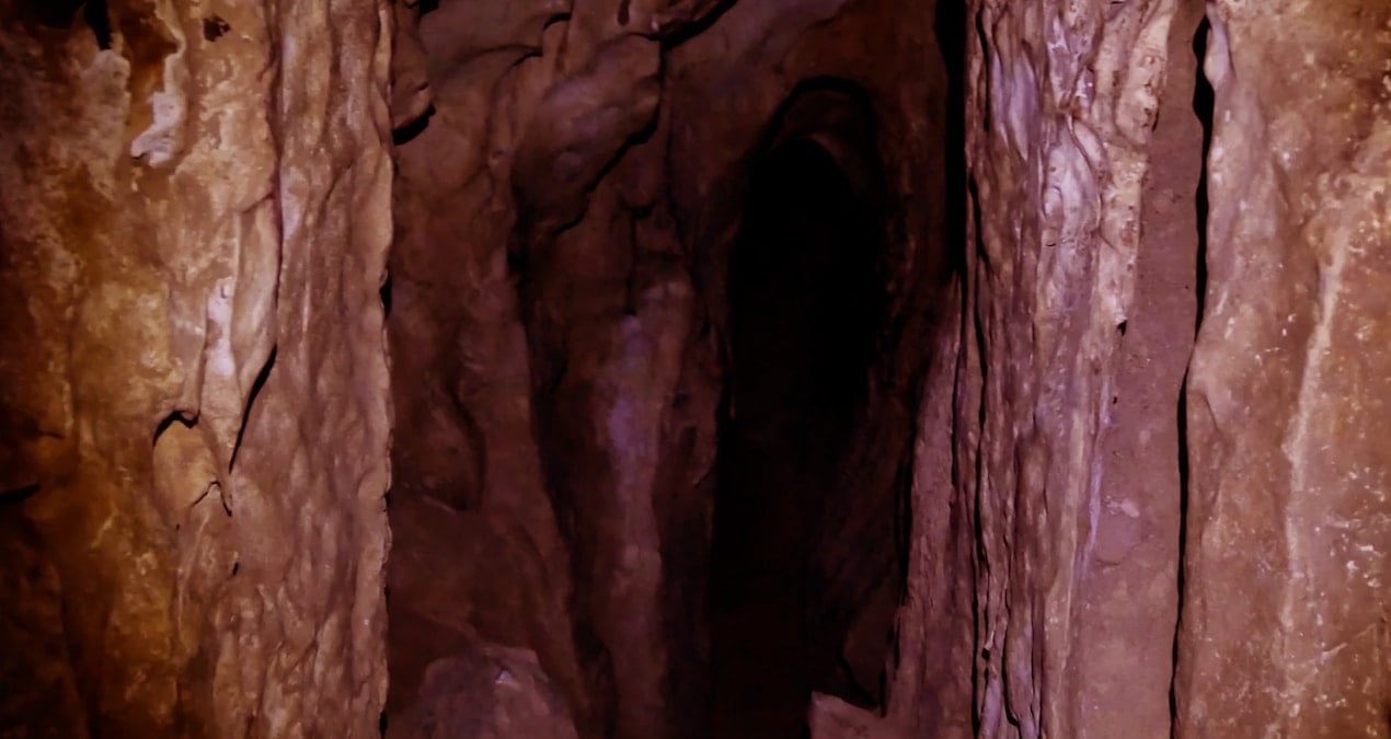 Suudi Arabistan'daki mağarada bulunan mumyalanmış yaratıklar inceleniyor