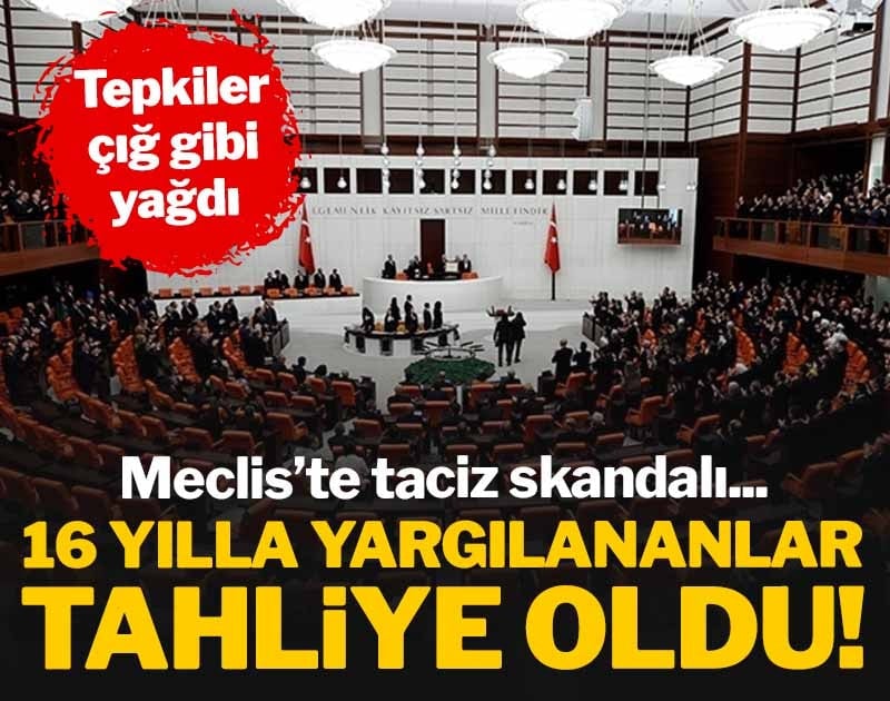 Son dakika haberi... Meclis'te taciz skandalı davasında ara karar: Sanıklar tahliye edildi