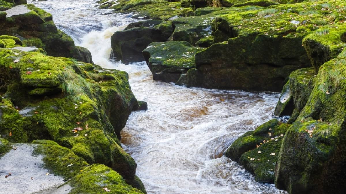 15 otobüs derinliğinde dünyanın en tehlikeli nehri: Bu suya dokunmak bile yasak