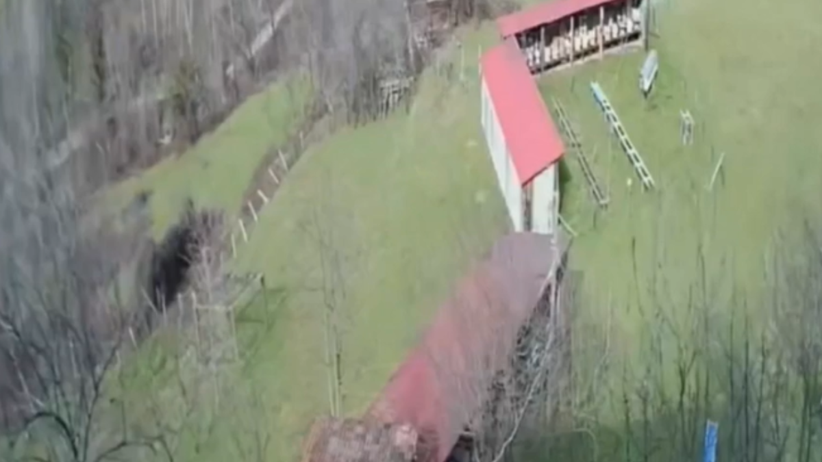 Sinop'ta fırtına arı kovanlarına zarar verdi