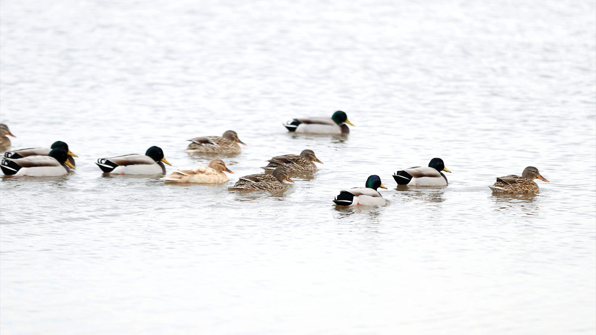 Kırklareli kültür ve doğa rotalarıyla öne çıkıyor