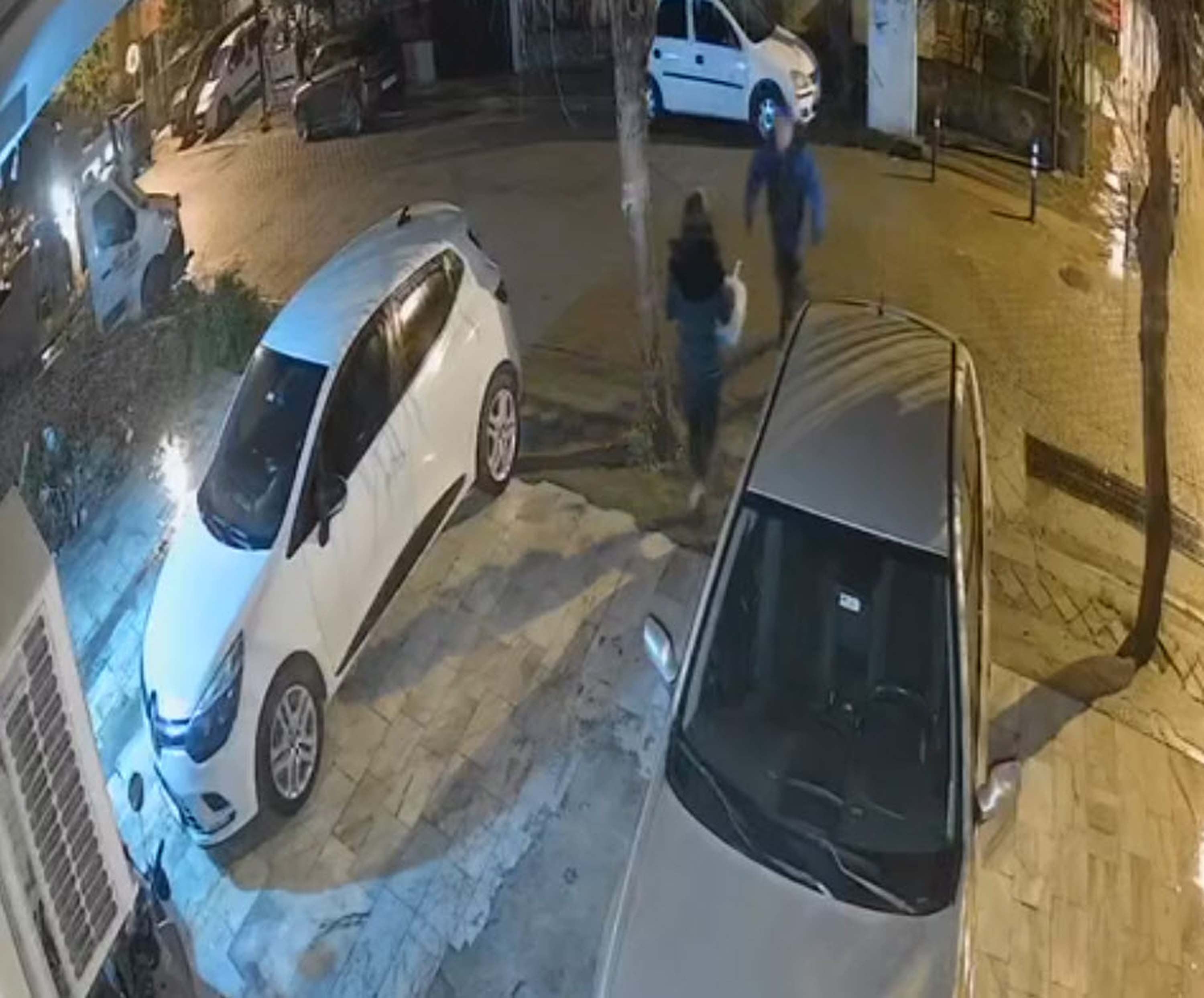 Boşanmak istediği kocası Özlem'i böyle öldürdü! Çaresiz kadının yardım çığlıkları ortaya çıktı