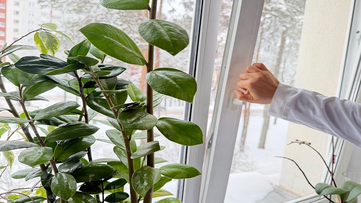 'Pencerelerinizi günde 2 kez açın' çağrısı