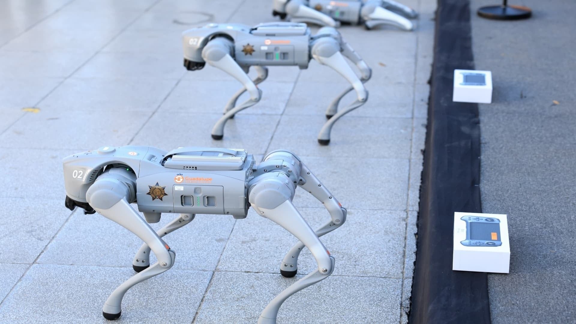 Polisler robot köpekleri Dünya Kupası'nda salacak! Gözlerinden hiçbir şey kaçmıyor
