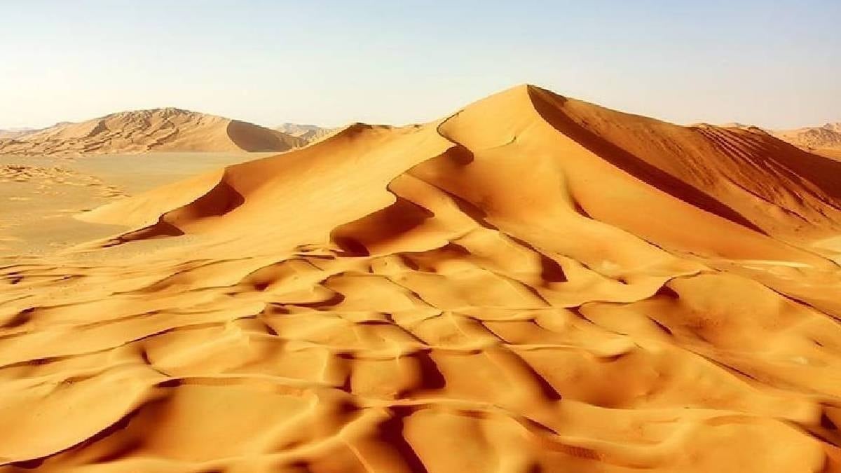 Sahra Çölü'nde sırtında bıçak taşıyan dev yaratık keşfedildi