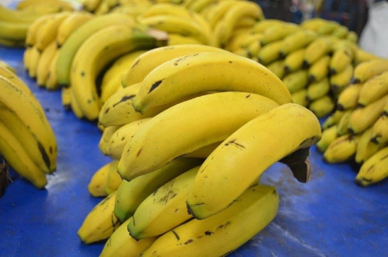 Boyu 14 santimetreden küçük olan muzları ülkeye sokmayacaklar