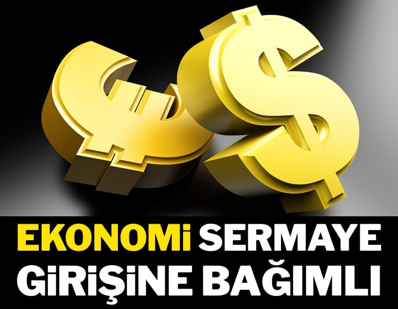Ekonomi sermaye girişine bağımlı
