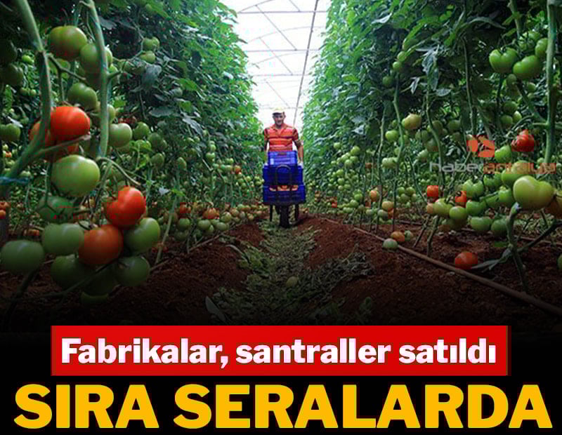 Köprüden önce son satış