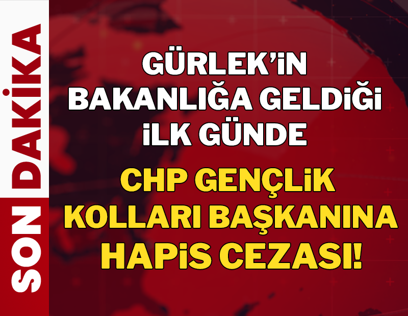 CHP Gençlik Kolları Başkanı'na Akın Gürlek davasında hapis cezası