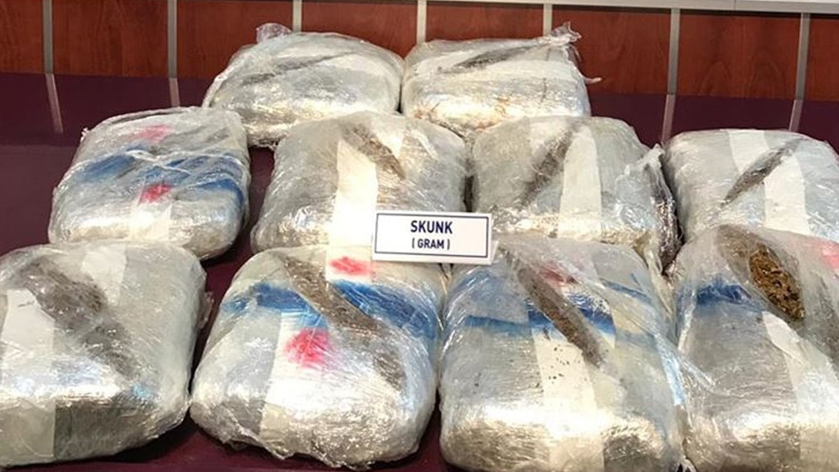Edirne’de 240 kilo skunk ele geçirildi