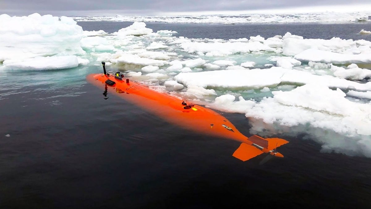Dev denizaltı korkunç verileri paylaştıktan sonra aniden ortadan kayboldu