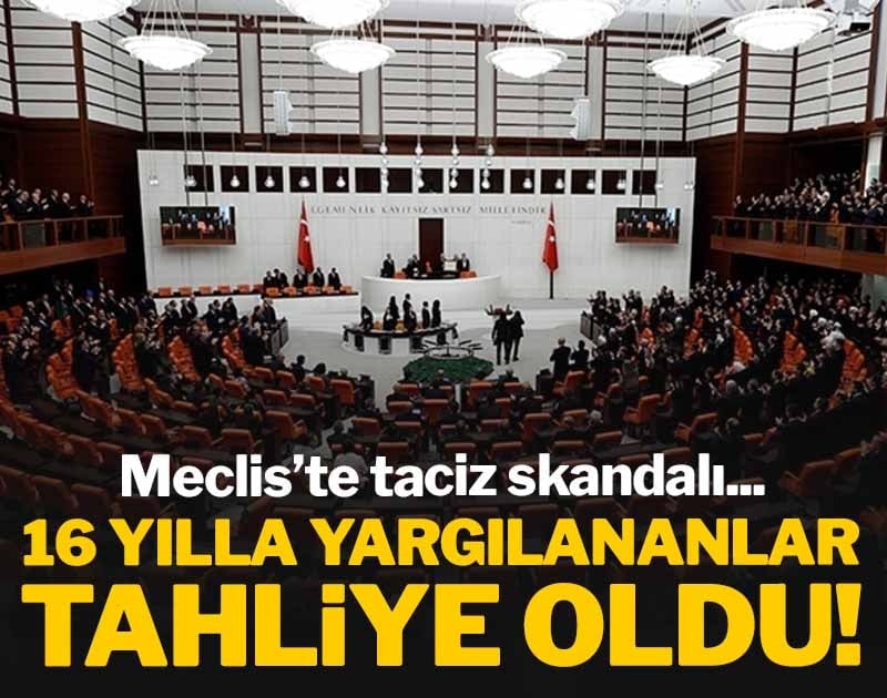 Son dakika haberi... Meclis'te taciz skandalı davasında ara karar: Sanıklar tahliye edildi
