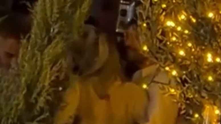 Taşacak Bu Deniz'in yıldızı Bebek'te  İrem Haznedar ile yakalandı