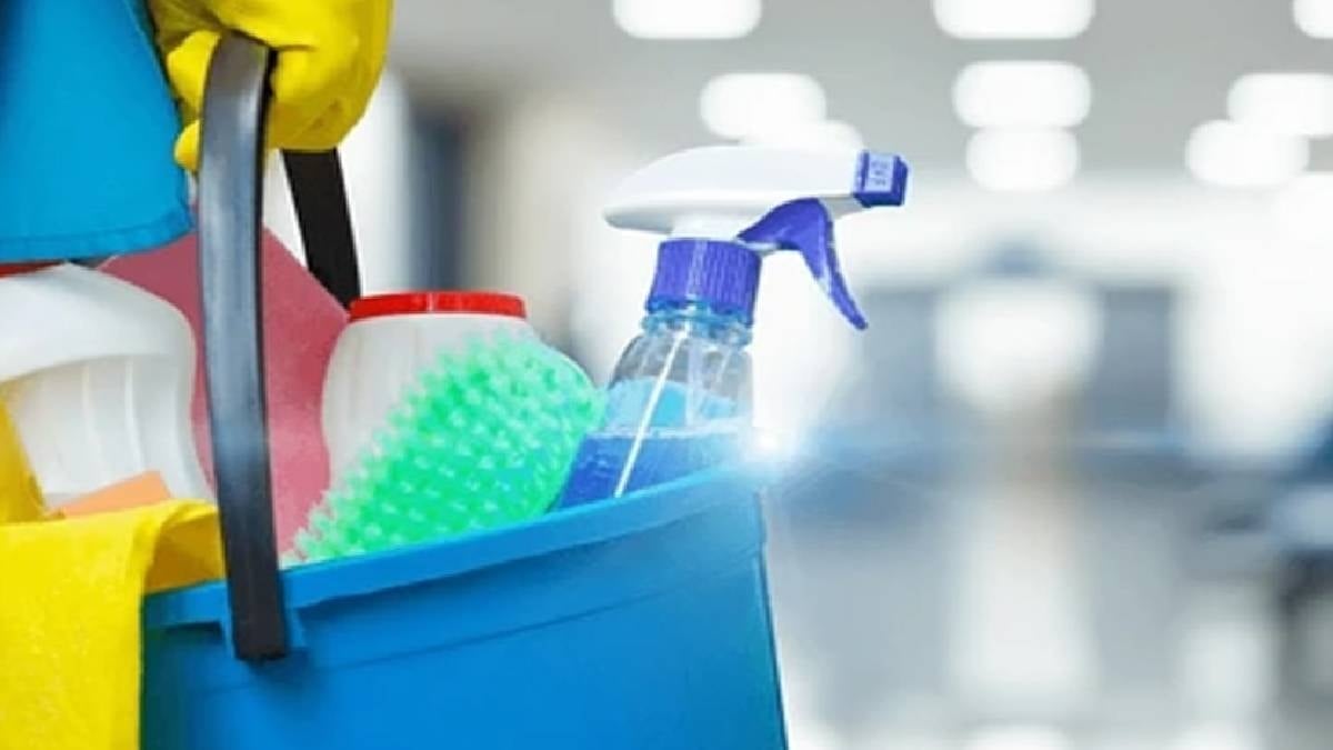 Çöpe atmadan önce bir kez daha düşünün: Tozu anında yok ediyor