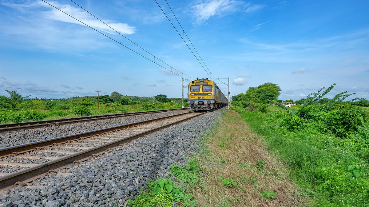 Dünyanın en işlek tren ağını kral kobralar istila etti