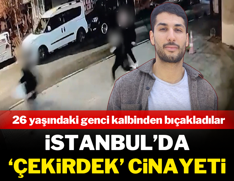 İstanbul'da 'çekirdek' cinayeti: Kalbinden bıçakladılar!