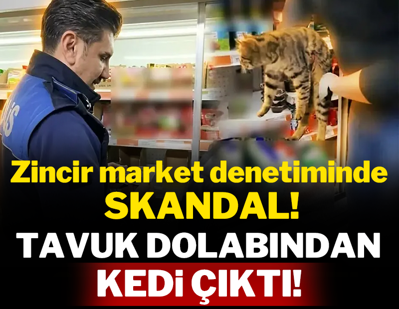 Zincir market denetiminde skandal: Tavuk dolabından kedi çıktı