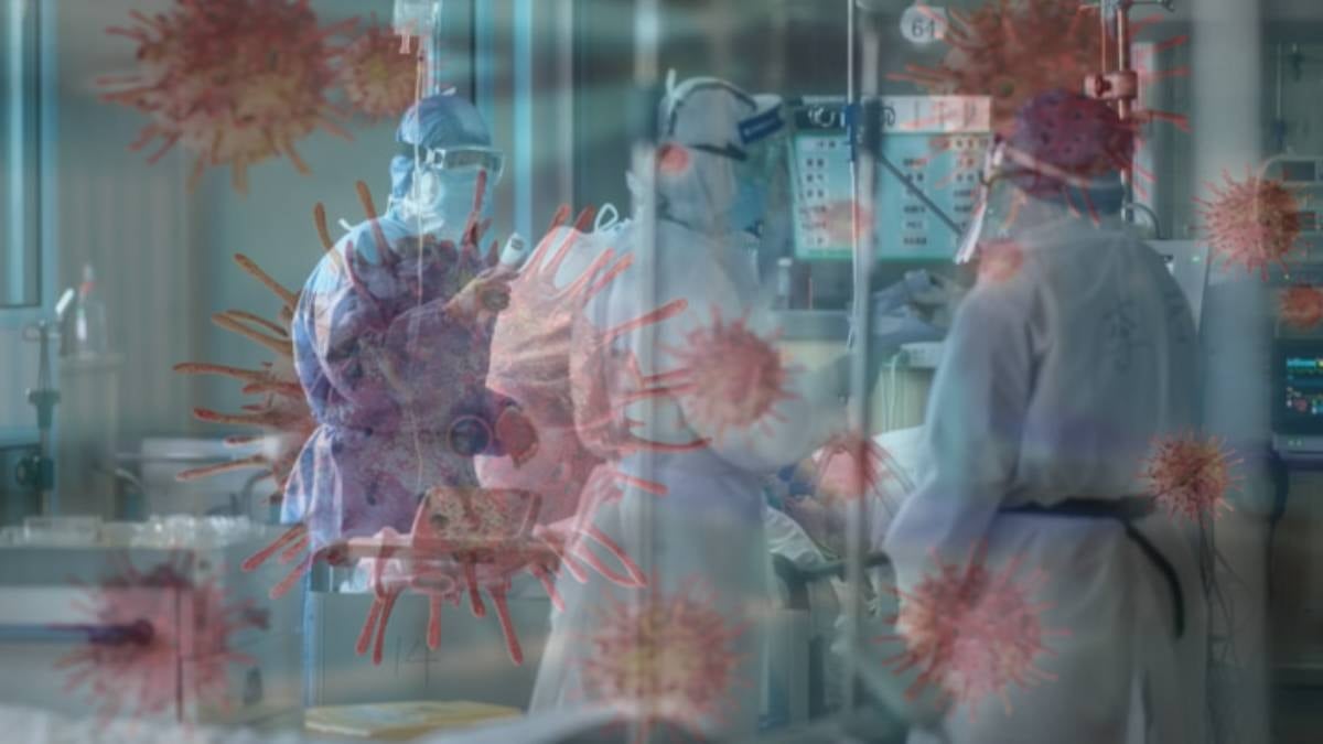 Yarasa kaynaklı yeni salgın hızla yayılıyor: Ölüm oranı çok yüksek, aşı ve tedavisi yok