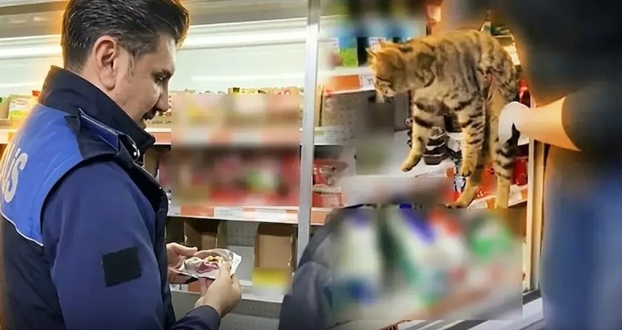 Zincir market denetiminde skandal: Tavuk dolabından kedi çıktı