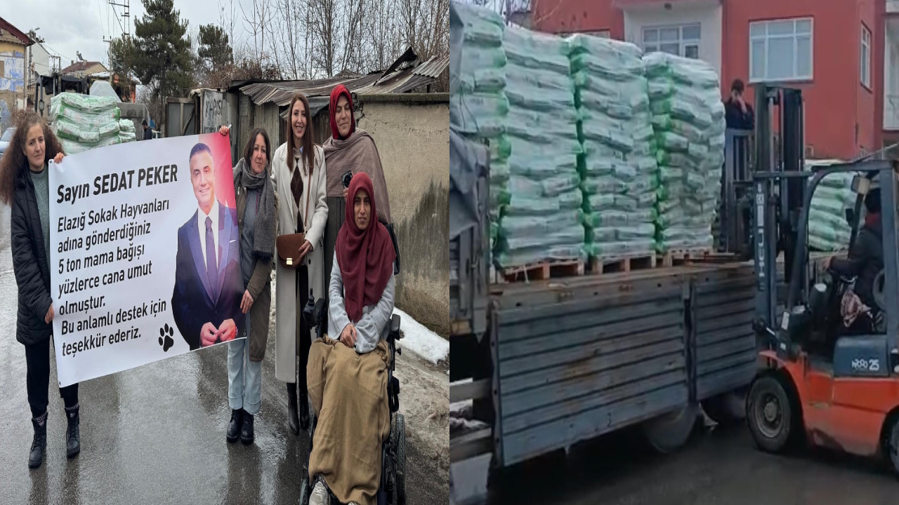 Sedat Peker’den Elazığ’a 5 ton mama desteği