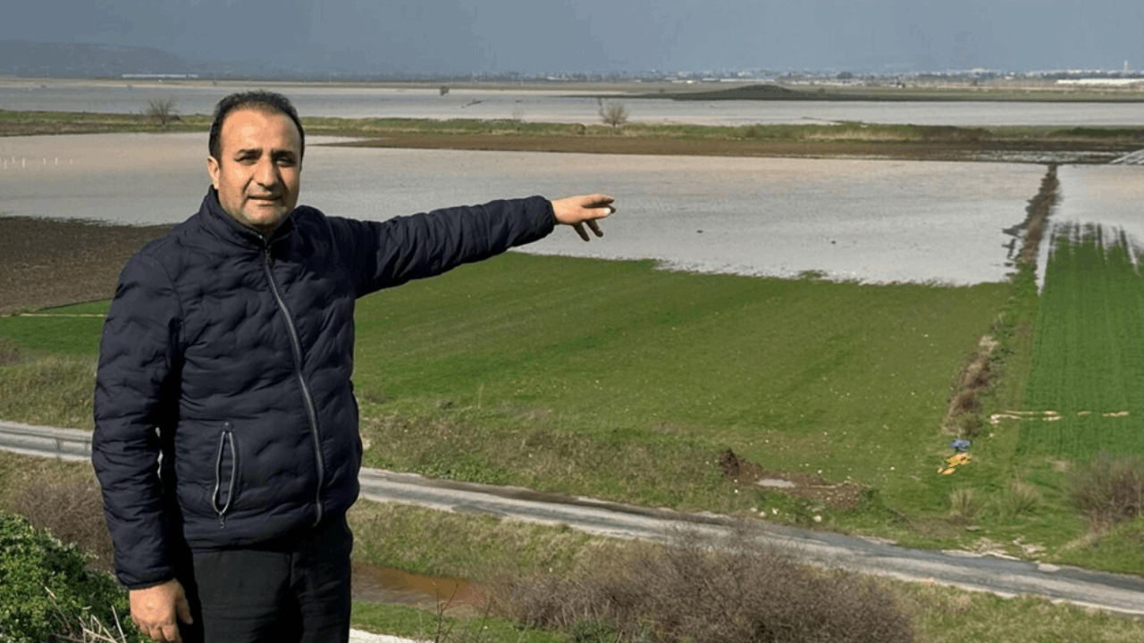 İzmir'de yağışlar çiftçinin yüzünü güldürdü