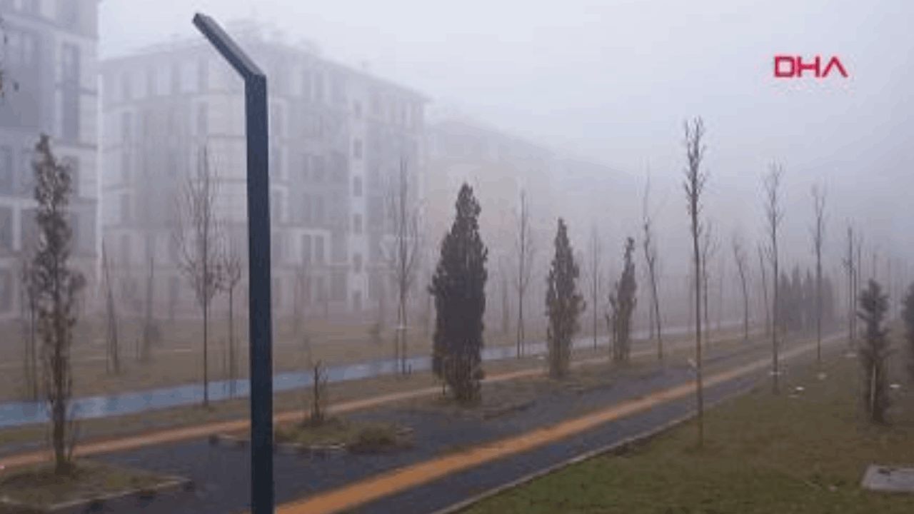 Diyarbakır'da sis bürüdü: Ulaşım durdu