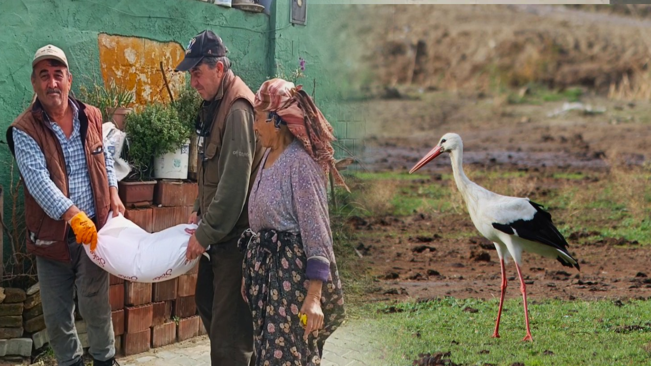 Aydın’a ilk gelen leylek bir çuval un kazandırdı