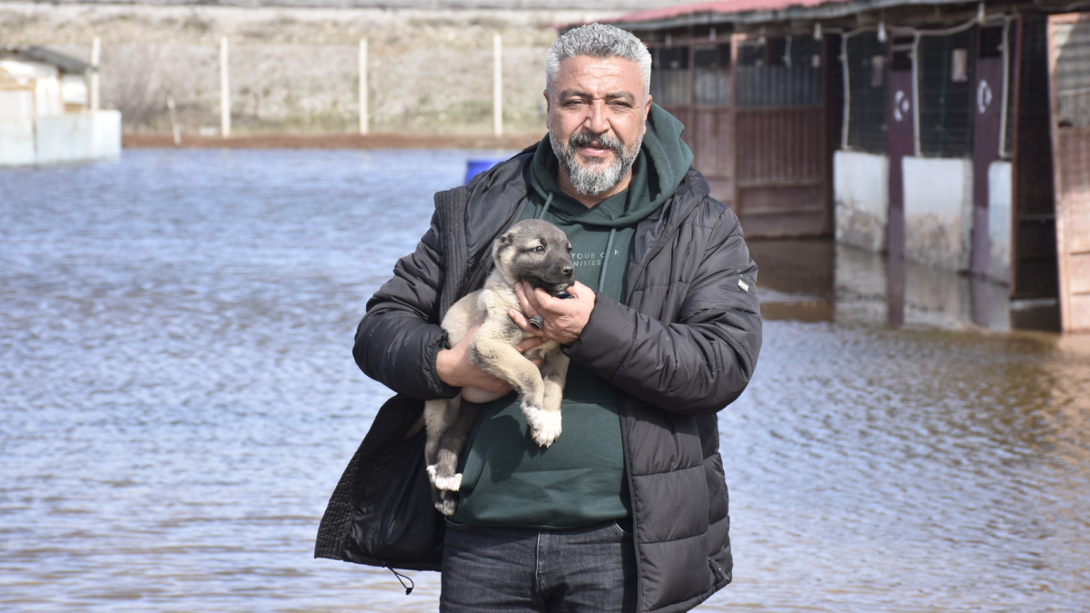 Kangal köpeği çiftliği su altında kaldı
