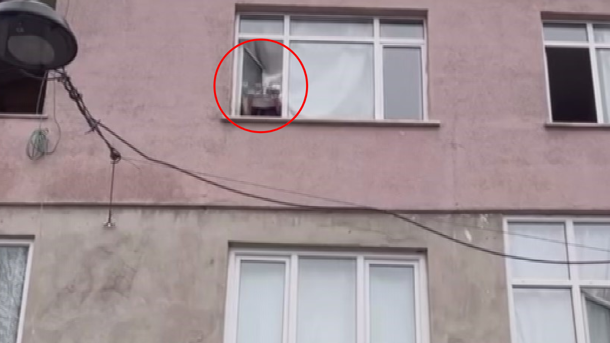 20 yıldır pencereye çıkıp aynı şeyi yapıyor! Mahalleliyi canından bezdirdi