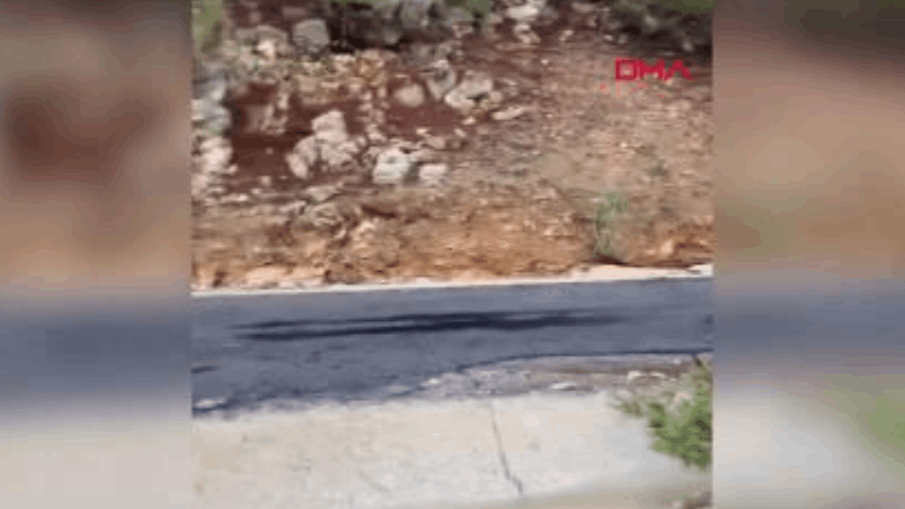 Adana- Kozan'da yol çöktü