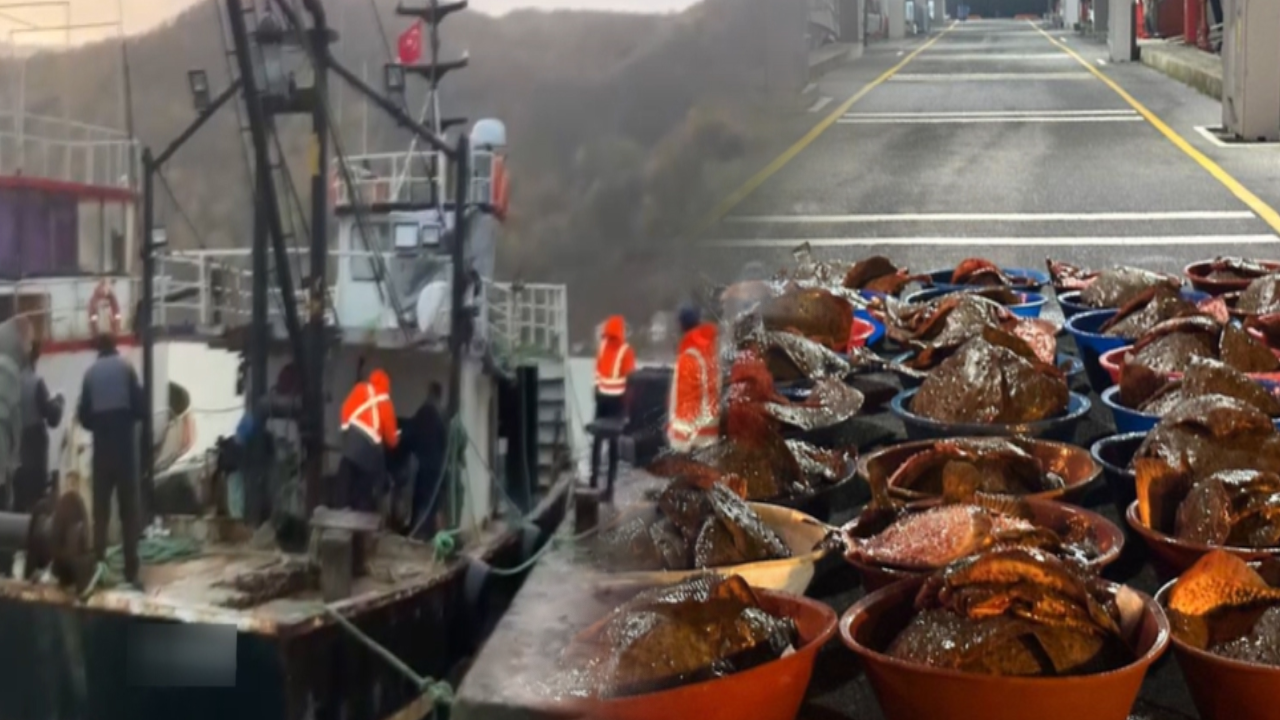 Denizlerde büyük operasyon: 44 ton kaçak su ürünü yakalandı