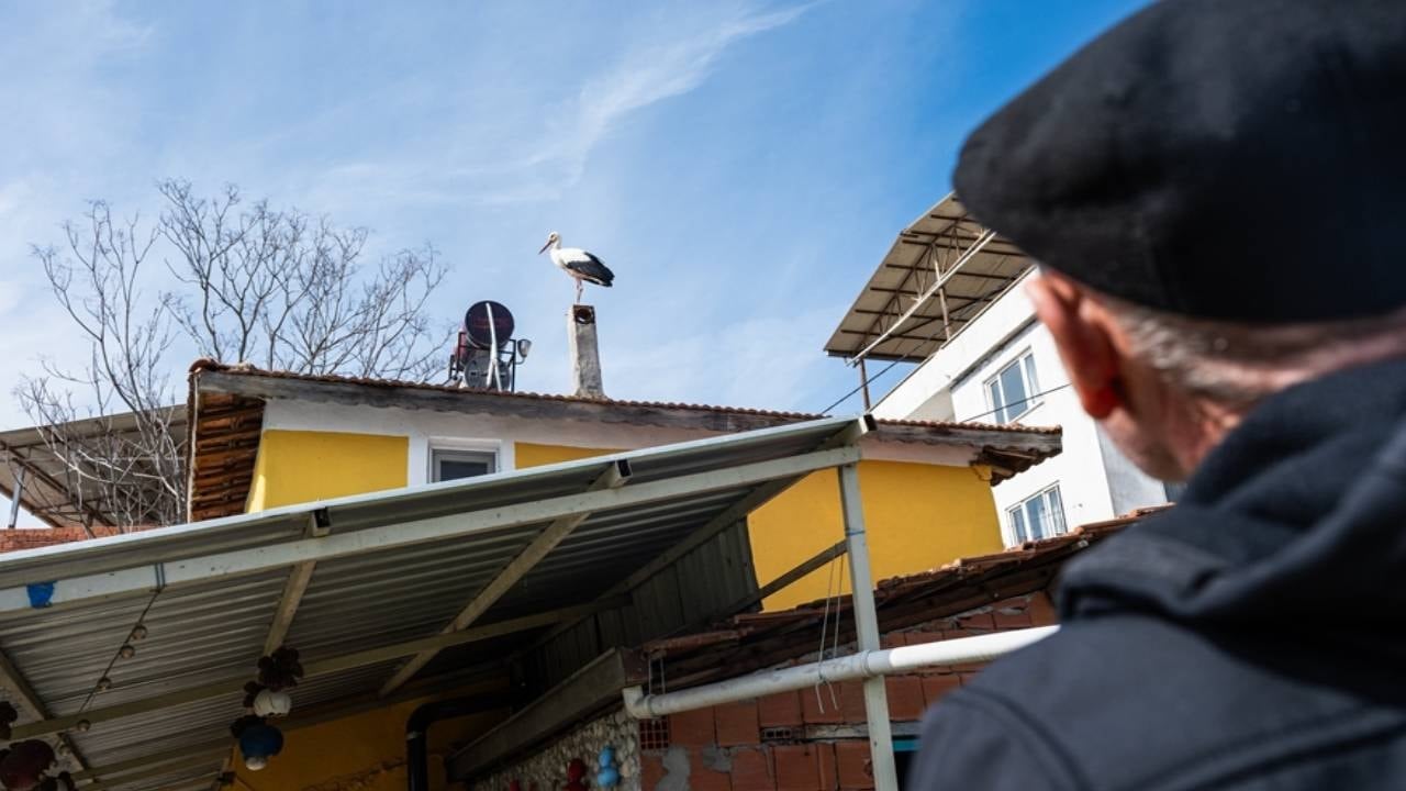 Yaren leyleğin eşi Nazlı geldi