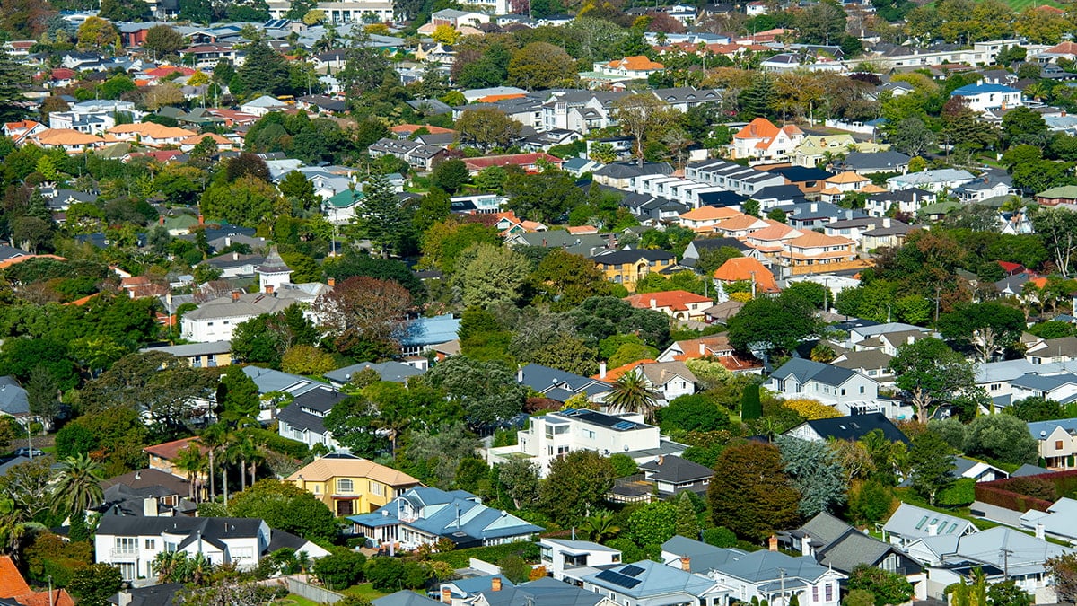 Bu ülkede nüfusun %80'inden fazlası insan değil